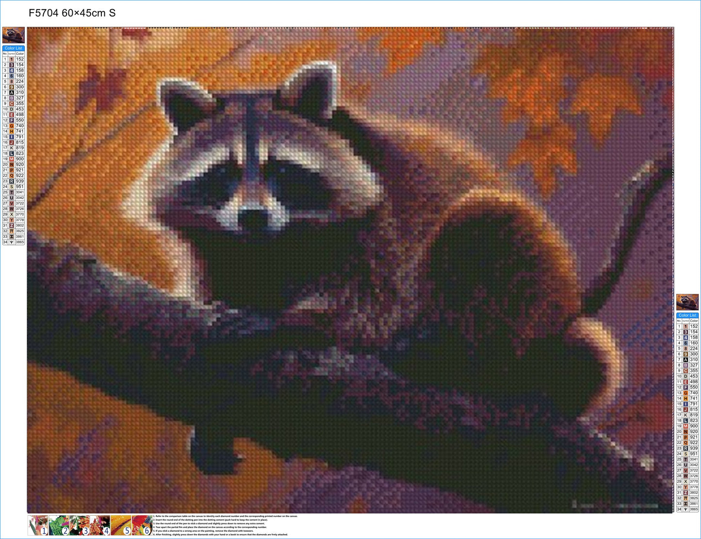 Racoon Striking Pose - Diamond Kit - Painted Memory