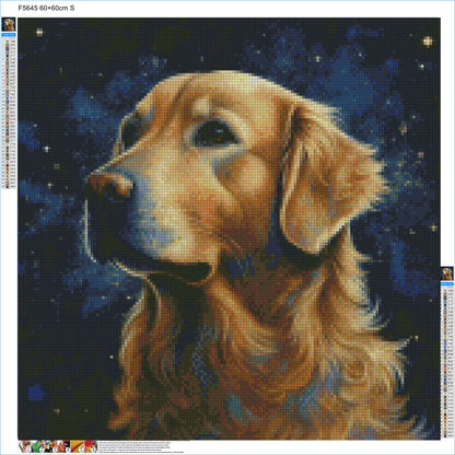 Starry Night Golden Retriever - Diamond Kit - Painted Memory